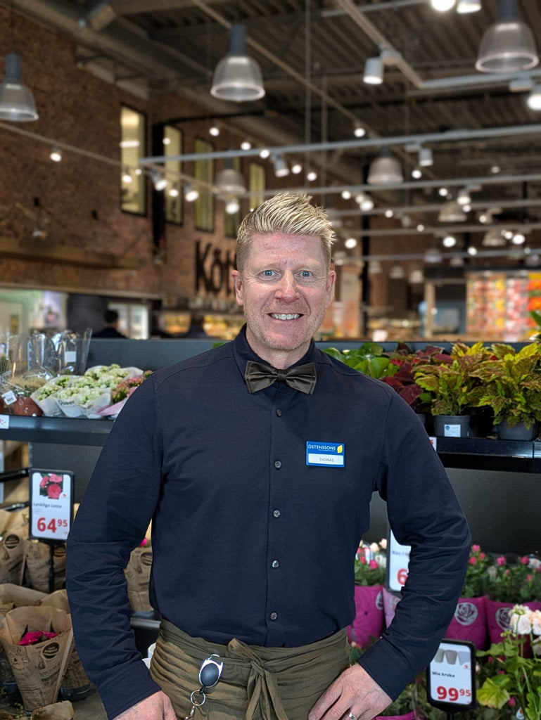Store Chief